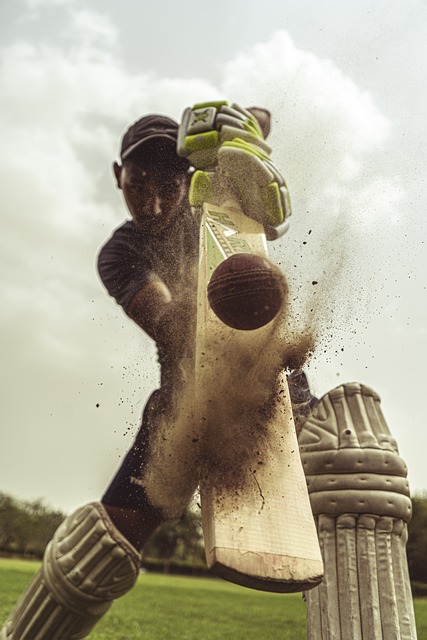 The Future of Cricket Ground Maintenance: Innovations and Sustainability